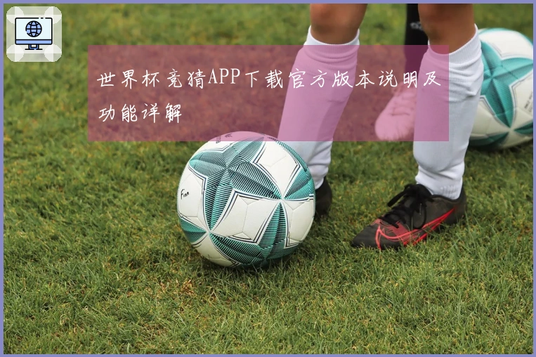 世界杯竞猜APP下载官方版本说明及功能详解