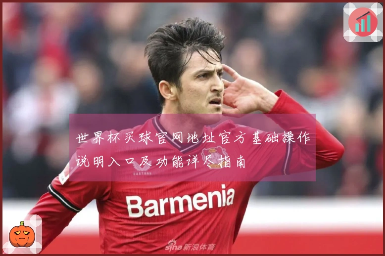 世界杯买球官网地址官方基础操作说明入口及功能详尽指南