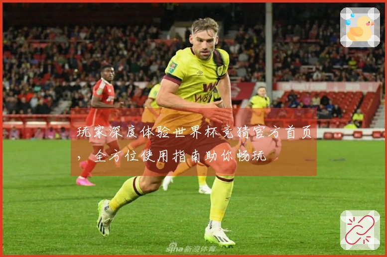 玩家深度体验世界杯竞猜官方首页，全方位使用指南助你畅玩